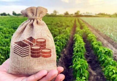 Земеделските производители очакват първите плащания по Кампания 2026